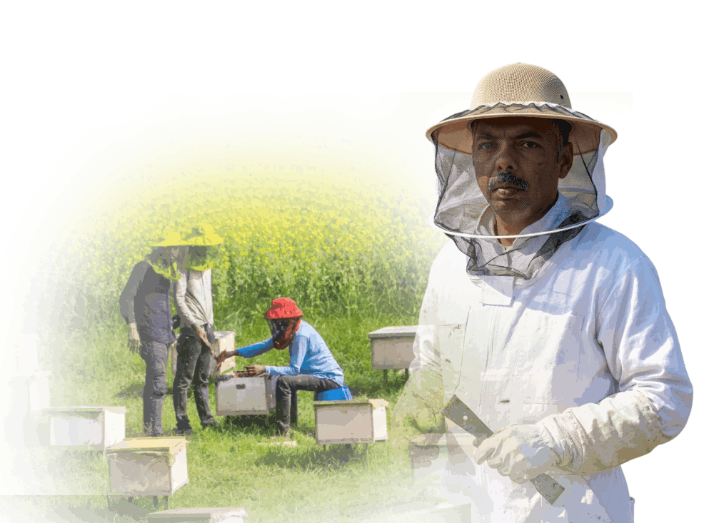 Fakir Zahur Ahmed Cutout - Beekeeper and Entrepreneur